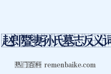 赵郎暨妻孙氏墓志反义词是什么意思的图片